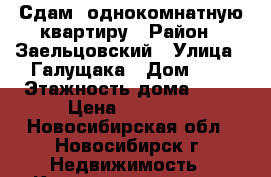 Сдам  однокомнатную квартиру › Район ­ Заельцовский › Улица ­ Галущака › Дом ­ 4 › Этажность дома ­ 18 › Цена ­ 21 000 - Новосибирская обл., Новосибирск г. Недвижимость » Квартиры аренда   